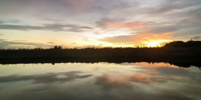 Harmoni Alam: Renungan di Tepi Sungai Wasur