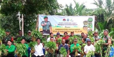 Sukseskan Program Hanpangan, Koramil Supiori Selatan Bersama Koptan dan Warga Duber Panen Kangkung
