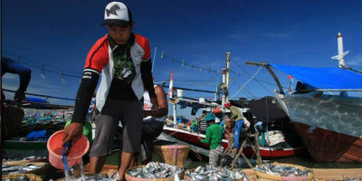 Membanggakan! Indonesia Penghasil Ikan Laut Terbesar di Dunia Setelah China