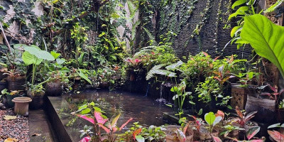 Rumah Kreatif Agribisnis: Tawarkan Oase di Tengah Kota Bogor