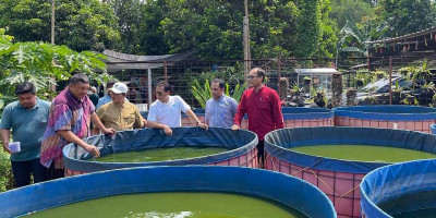 Kunjungi Easy Farm di Bekasi, Prof. Rokhmin Dahuri Ungkap Teknologi Bioflog Lele Berbasis Organik