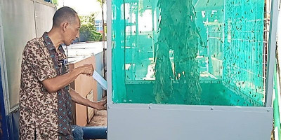 Mercure Hotel dan Sudin LHK Jakarta Utara Kolaborasi Inovatif dalam Atasi Masalah Sampah Makanan