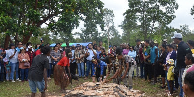 Tarian Suku Kanum dan Jamuan Sagu Panggang Batu Panas Satukan Sukacita Pentakosta Warga RI - Papua Nugini