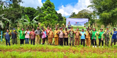 Mantapkan Hanpangan Nasional, Koramil Supiori Selatan Panen Jagung dan Kacang Panjang Bersama Masyarakat