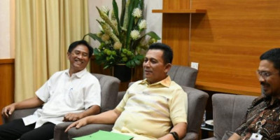 Gubernur Ansar Ahmad Paparkan Progres Jembatan Batam-Bintan Ke Tim Ahli Anggota Wantimpres