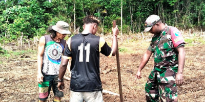 Babinsa Bersama Petani Cabut Akar Pohon untuk Persiapan Buka Lahan Baru