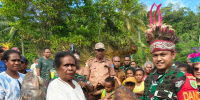 Dandim 1708/BN Dinobatkan sebagai Mandawarek dalam Tradisi Barapen di Kampung Kbusdori