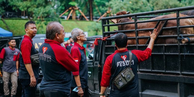 Artha Graha Peduli Sumbangkan Hewan Kurban Atas Nama Karyawan