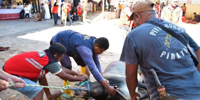 Jajaran Polda NTT Serahkan Puluhan Hewan Kurban