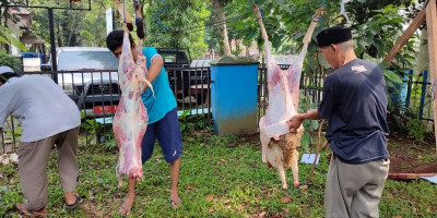 PWI Kota Bogor Sembelih 2 Ekor Kambing