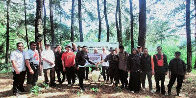 Perhutani Bandung Utara Salurkan Hewan Kurban ke Penyadap Getah Pinus