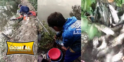 Gerombolan Pemancing Liar Kumpul di Tambak di Bambu Kuning, Ada Apa?