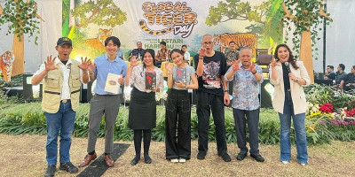 Global Tiger Day 2024 bersama Artha Graha Peduli dan Tambling