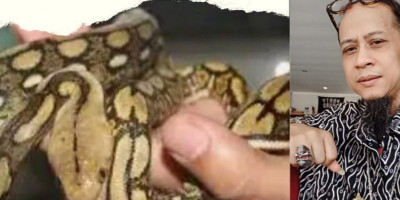 Mitos Mimpi Melihat Ular