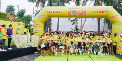 Rocco Dog Indonesia Pecahkan Rekor MURI Dengan Selenggarakan Rocco’s Bark Day Fun Run 2024!