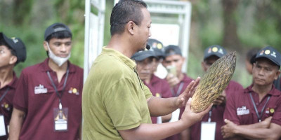 Banyak Gap dalam Teknis Budidaya Sawit