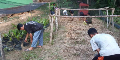 Satgas Yonzipur 5/ABW Gandeng Remaja Berkebun, Wujudkan Ketahanan Pangan