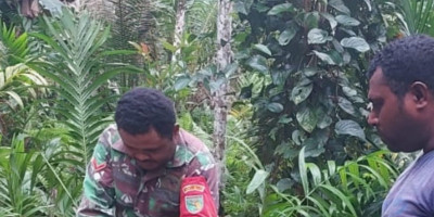 Wujudkan Kedekatan TNI dengan Masyarakat, Babinsa Supiori Bantu Warga Bangun Pondok