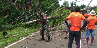 Respon Cepat, Babinsa dan Warga Bersihkan Pohon Tumbang