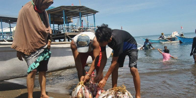 Kolaborasi Menguatkan Informasi Masyarakat Pesisir Secara Partisipatif di Sulawesi Selatan