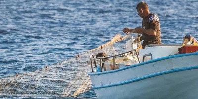 Mengoptimalkan Eksploitasi Tuna Sirip Biru di Laut Lepas