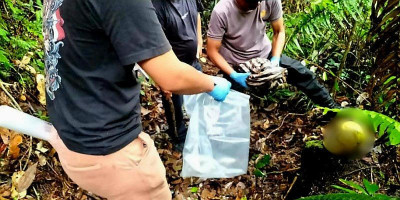Geger Penemuan Kerangka Manusia di Kawasan Hutan Toba