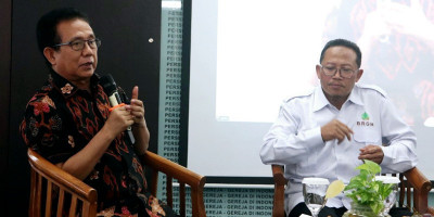 Jakarta Terancam Tenggelam: Pentingnya Pelestarian Mangrove