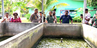 Kolam Budidaya Lele Kodim 1708/BN Dukung Ketahanan Pangan dan Program Bergizi Makan Gratis