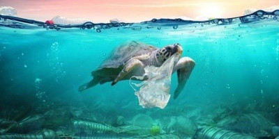 Merawat Penyu dan Paus Melalui Cukai Plastik, Bisa kah? 
