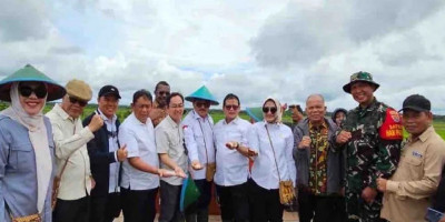 Prof. Rokhmin Dahuri: Komisi IV Dukung Swasembada Pangan di Luar Pulau Jawa