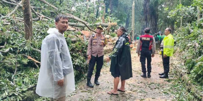 Dua Turis Tewas di Monkey Forest, DPR: Pengelola Wisata Harus Punya Standar Keselamatan