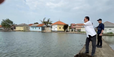 Prof. Rokhmin Dahuri Bersyukur atas Keberhasilan Petani Rumput Laut di Desa Cemara, Indramayu 