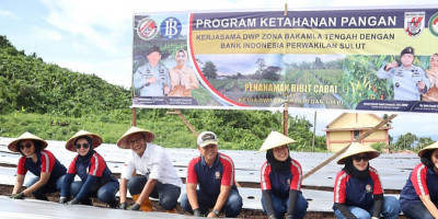 Program Ketahanan Pangan,  Zona Bakamla Tengah Tanam 10.000 Bibit Cabai