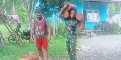 Siapkan Tradisi Barapen untuk Pernikahan, Babinsa Supiori Bantu Warga Angkut Kayu Bakar