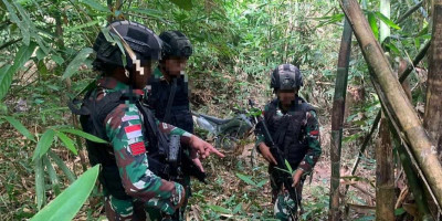Penemuan Sisik Trenggiling di Hutan Lindung, Bukti Perdagangan Ilegal Satwa
