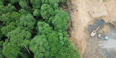 Darurat Deforestasi: Indonesia Kehilangan 257 Hektare Hutan, Kalimantan Terparah