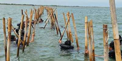 TNI AL Bersama Instansi Maritim dan Nelayan Bongkar 13,9 KM Pagar Laut Ilegal