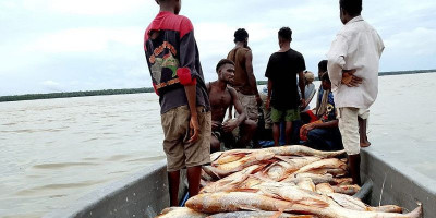 Nelayan di Merauke Butuh Bantuan Kapal Tangkap dan Penampung Ikan
