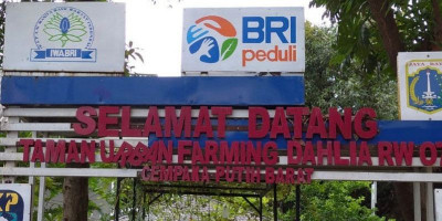 BRI Dukung Urban Farm Dahlia, Warga Cempaka Putih Barat Panen Hasil Pertanian
