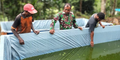 TMMD Ke-123 Kodim 1708/BN Hadirkan Investasi Jangka Panjang Lewat Budidaya Lele di Kbusdori