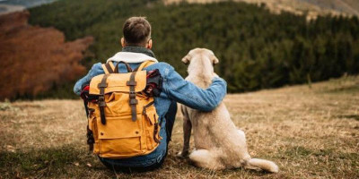 Gunung Anjing di China Mendadak Viral, Jadi Destinasi Wisata Baru bagi Pecinta Hewan