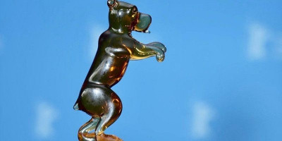 Little Rebels Cinema Club Ukir Sejarah di Berlinale 2025