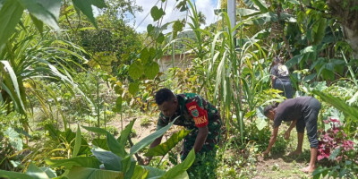 Ringankan Pekerjaan Warga, Babinsa Posramil Warsa Bantu Warga Bersihkan Kebun