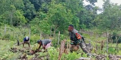Babinsa Biak Utara Bantu Warga Jemaat Piniel Korem Angkat Batu untuk Pembangunan Gereja