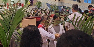 Minggu Palma: Mengenang Perarakan Yesus dengan Daun Palma
