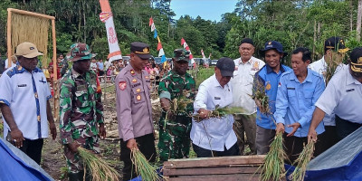 Dorong Ketahanan Pangan di Biak, Danpos Yendidori Hadiri Panen Raya Padi Inpari di Kampung Syabes