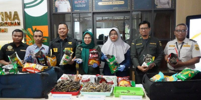 Gagal Selundupkan Ribuan Kuda Laut Kering, WNA Mesir Diamankan di Bandara Hang Nadim
