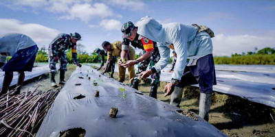 Satgas TMMD Ke-124 Kodim 1710/Mimika Wujudkan Dukungan untuk Ketahanan Pangan