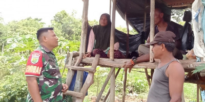 Dorong Peningkatan Hasil Pertanian, Babinsa Biak Utara Motivasi Petani di Kampung Andey