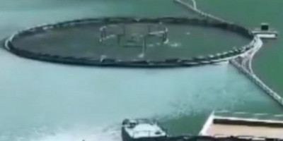 Keajaiban di Gurun Xinjiang: Budidaya Ikan Laut di Tengah Padang Pasir